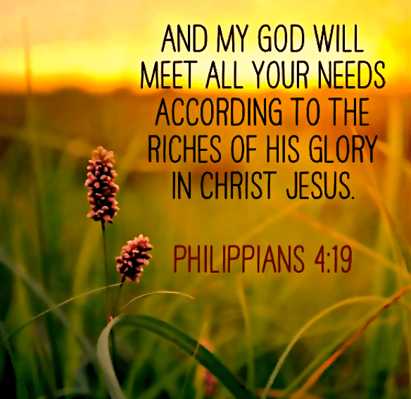 Screen Shot 2017-07-08 at 11.29.28 PM.png