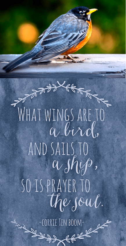 Screen Shot 2017-07-08 at 11.40.30 PM.png