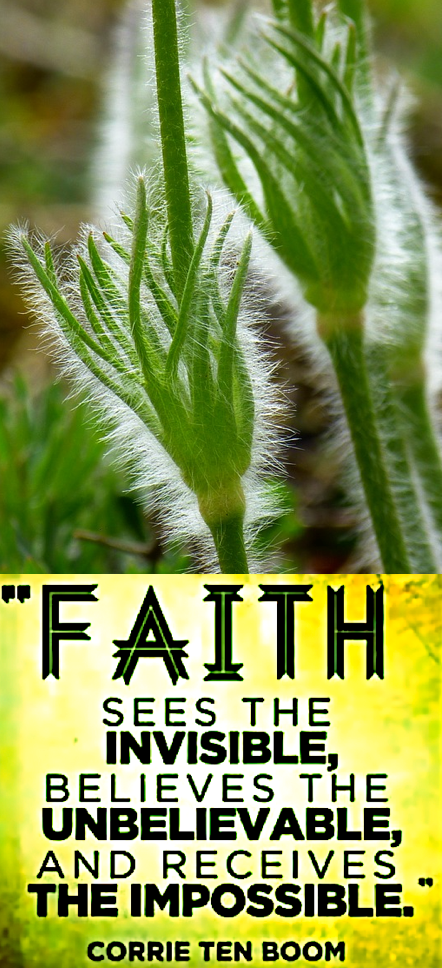 Screen Shot 2017-07-08 at 11.50.45 PM.png