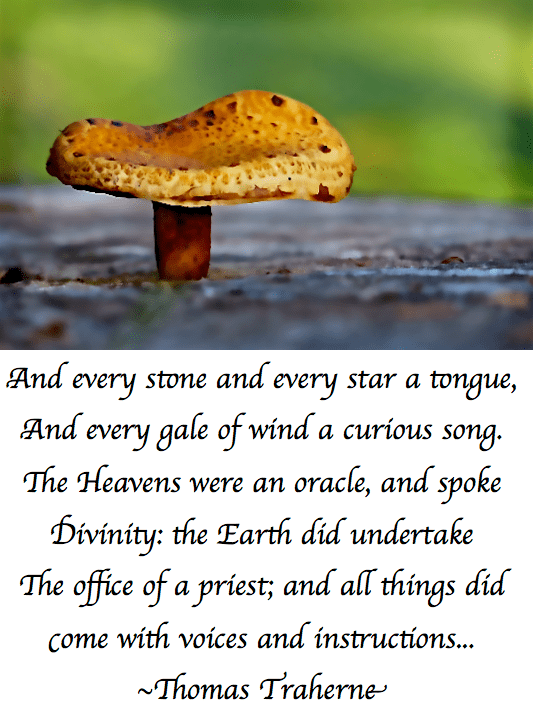 Screen Shot 2017-07-08 at 9.58.38 PM.png