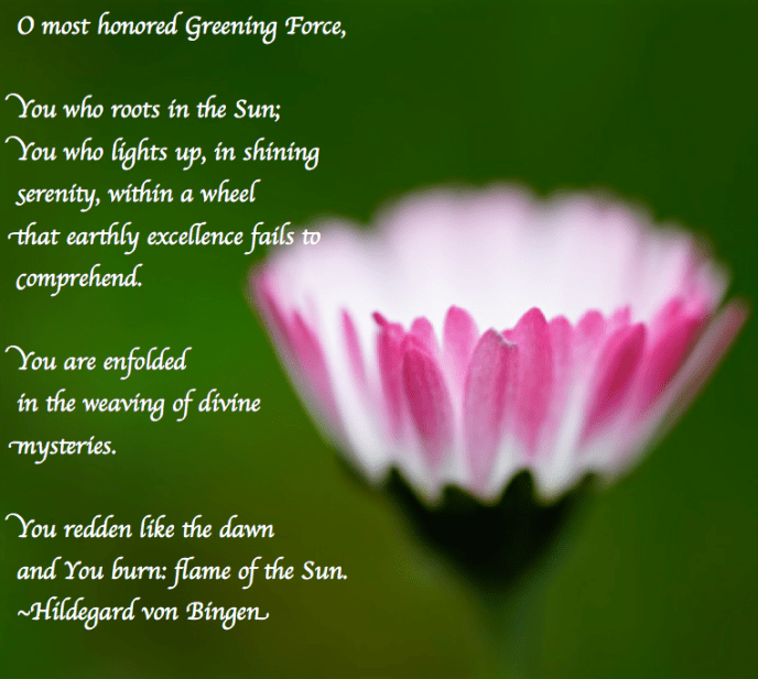 Screen Shot 2017-07-09 at 11.05.05 PM.png