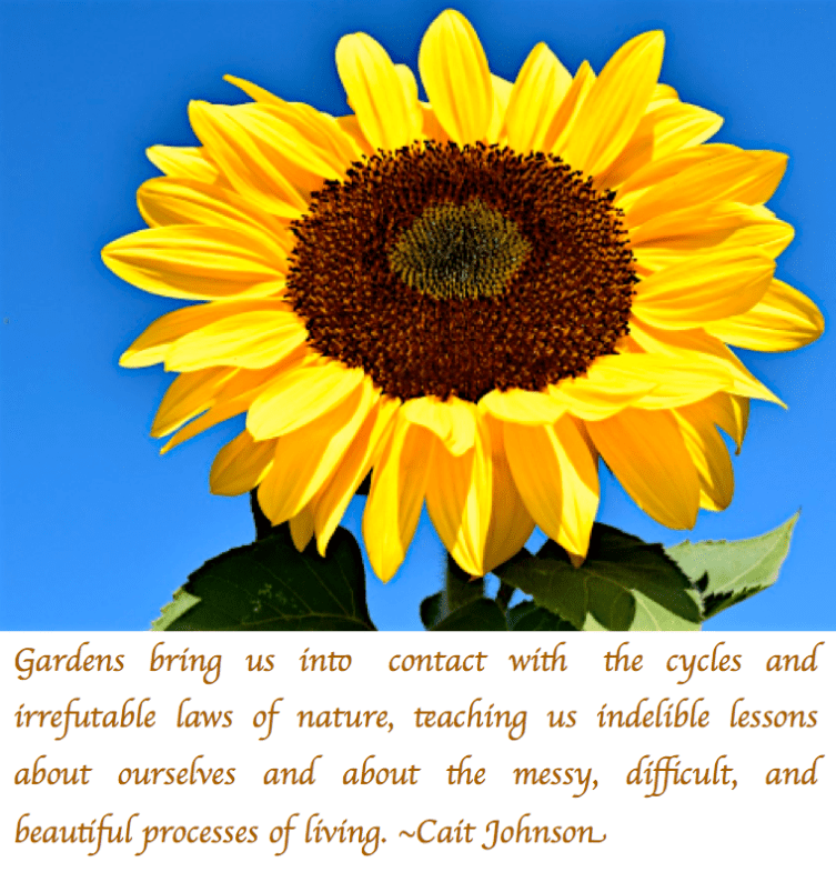 Screen Shot 2017-07-09 at 11.21.14 PM.png