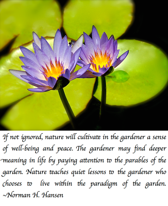 Screen Shot 2017-07-10 at 10.18.38 PM.png