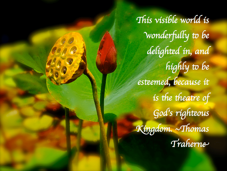 Screen Shot 2017-07-10 at 10.22.47 PM.png