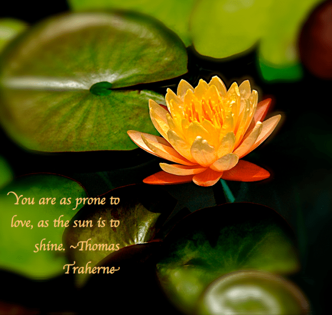 Screen Shot 2017-07-10 at 10.28.48 PM.png