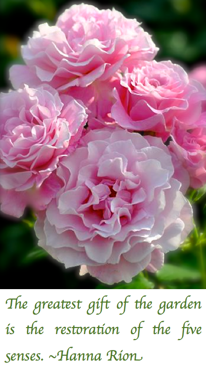 Screen Shot 2017-07-11 at 11.15.06 PM.png