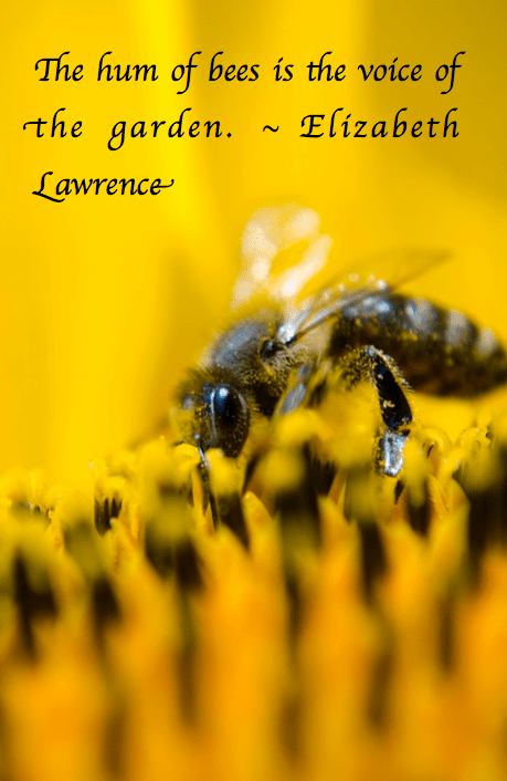 Screen Shot 2017-07-12 at 11.10.22 PM.png