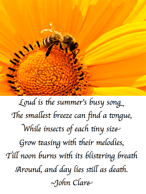 Screen Shot 2017-07-12 at 11.14.11 PM.png