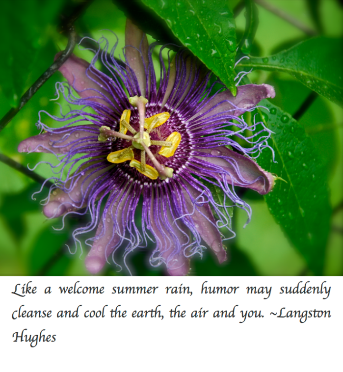 Screen Shot 2017-07-12 at 11.23.52 PM.png