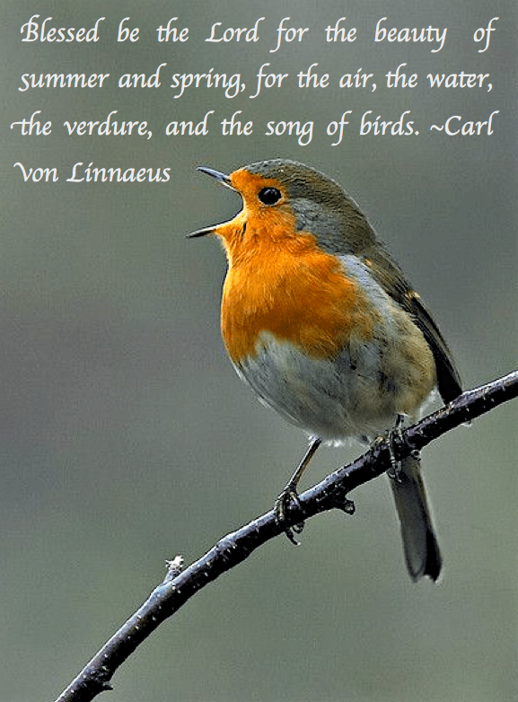 Screen Shot 2017-07-13 at 10.13.53 PM.png