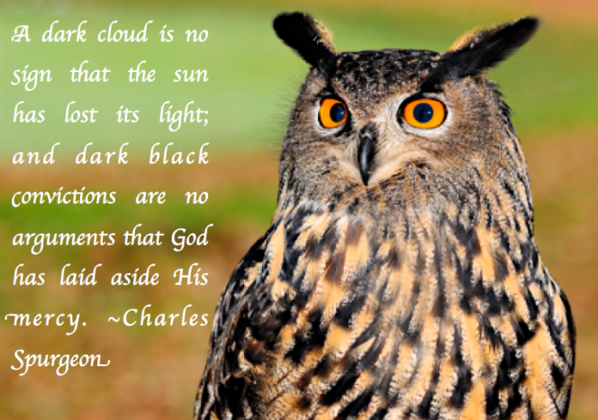 Screen Shot 2017-07-13 at 10.17.03 PM.png