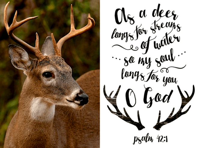 Screen Shot 2017-07-15 at 11.32.45 PM.png