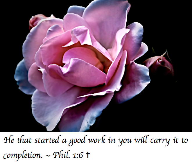 Screen Shot 2017-07-15 at 11.37.48 PM.png