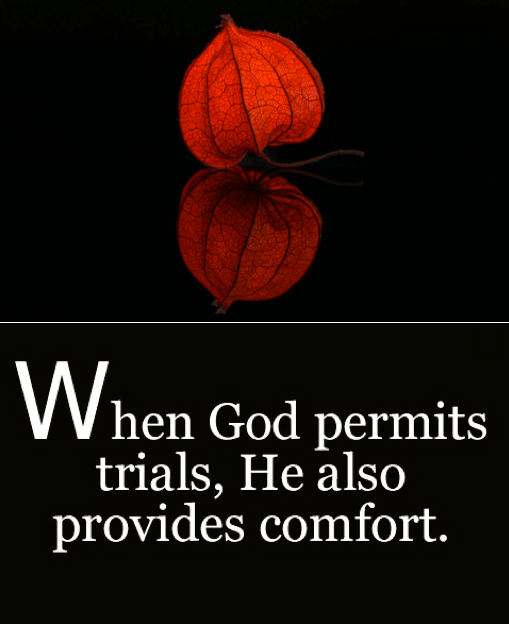 Screen Shot 2017-07-15 at 11.47.04 PM.png