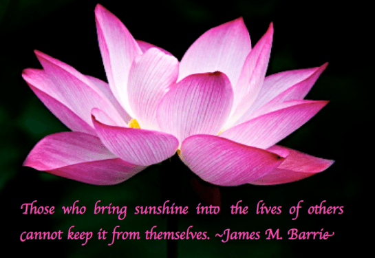 Screen Shot 2017-07-17 at 10.41.31 PM.png