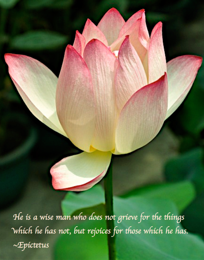 Screen Shot 2017-07-17 at 10.45.24 PM.png