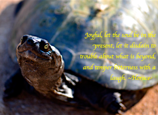 Screen Shot 2017-07-17 at 10.54.46 PM.png