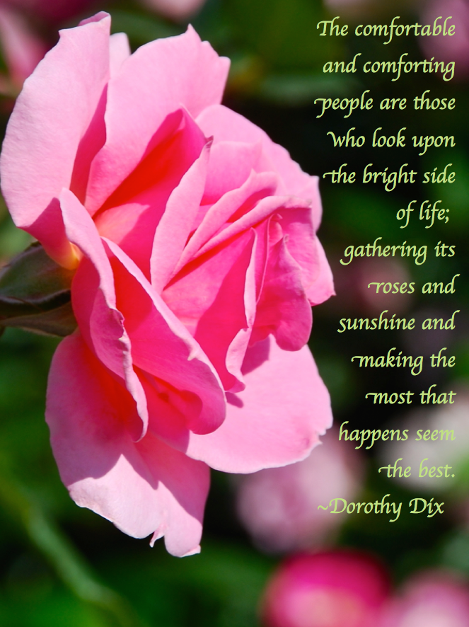 Screen Shot 2017-07-17 at 11.04.52 PM.png