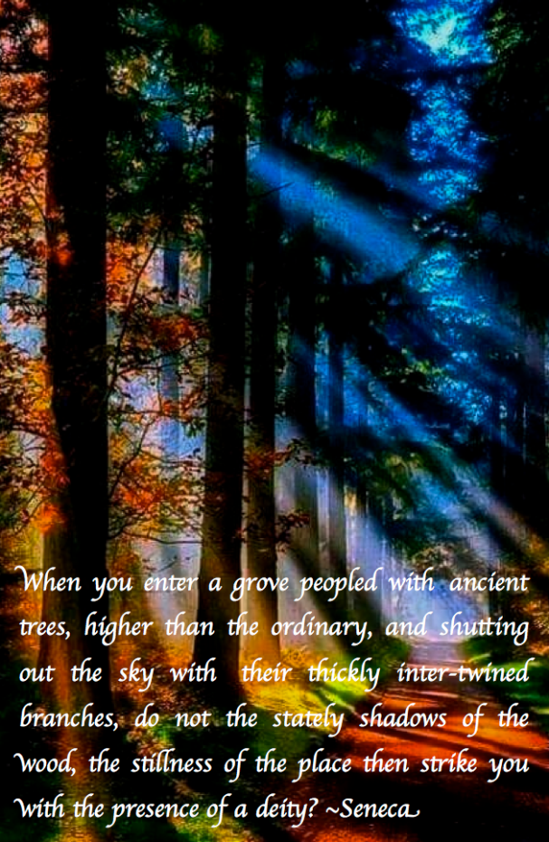 Screen Shot 2017-07-17 at 9.43.10 PM.png