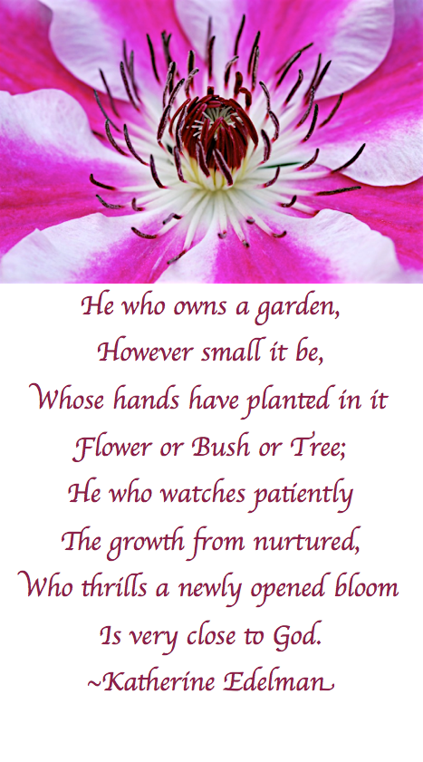 Screen Shot 2017-07-18 at 10.29.26 PM.png