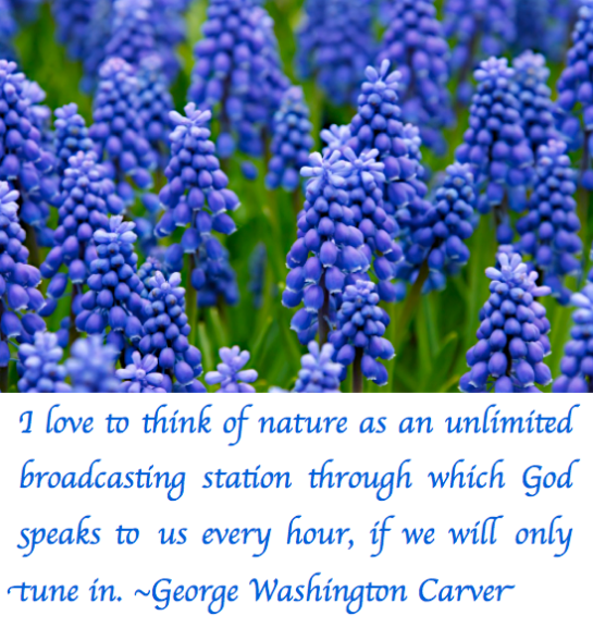 Screen Shot 2017-07-18 at 10.31.33 PM.png