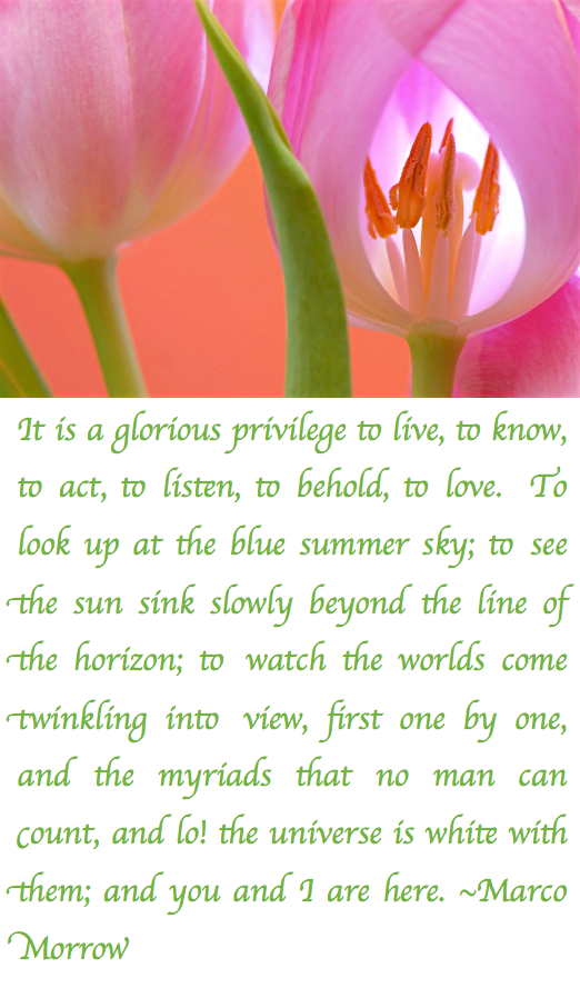 Screen Shot 2017-07-18 at 10.33.45 PM.png