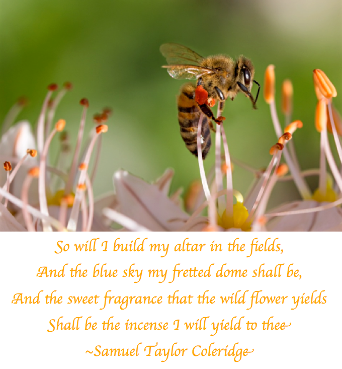 Screen Shot 2017-07-18 at 10.36.55 PM.png