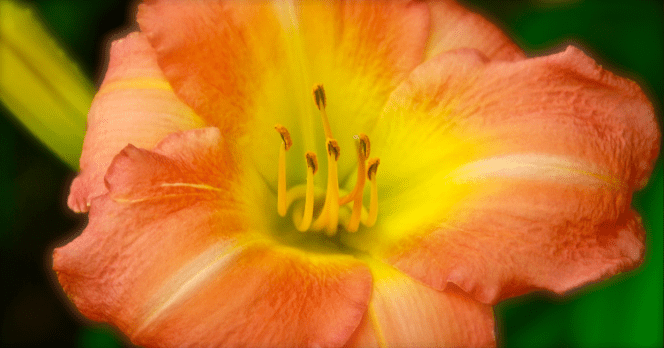 Screen Shot 2017-07-19 at 9.26.10 PM.png