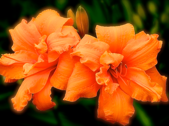 Screen Shot 2017-07-19 at 9.28.56 PM.png