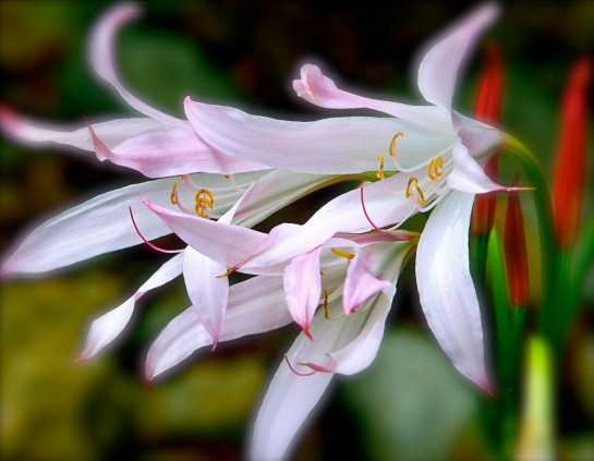 Screen Shot 2017-07-19 at 9.41.19 PM.png