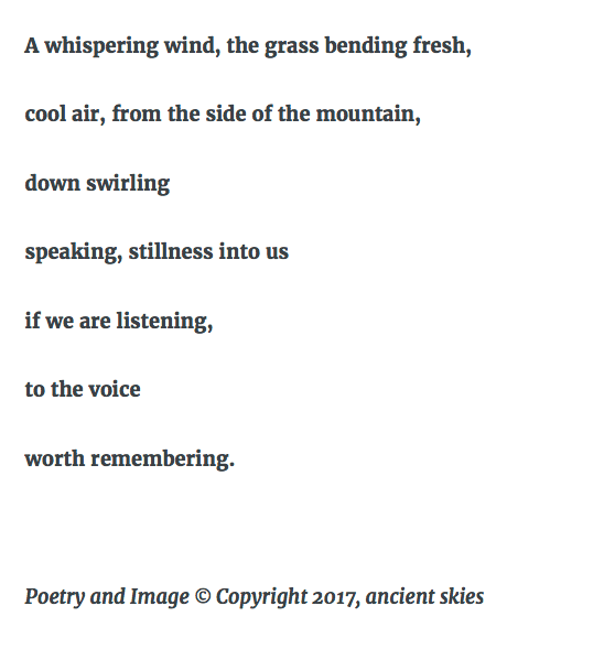 Screen Shot 2017-07-20 at 10.10.56 PM.png