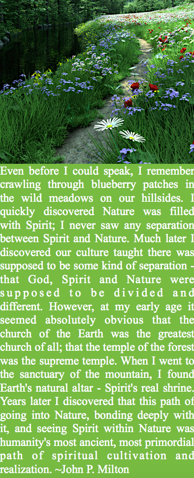 Screen Shot 2017-07-20 at 11.14.37 PM.png