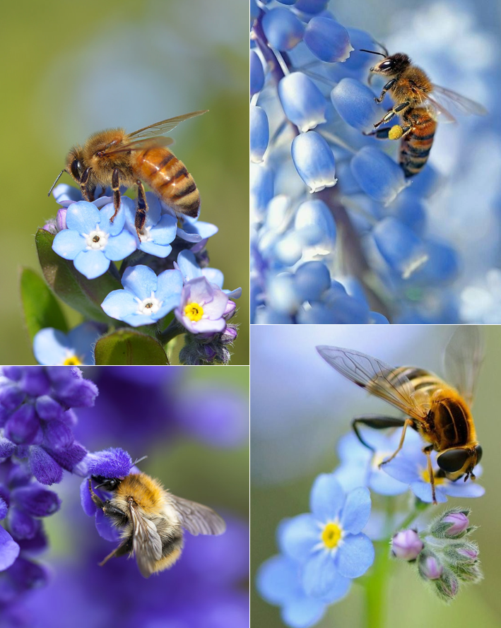 Screen Shot 2017-07-20 at 11.21.23 PM.png