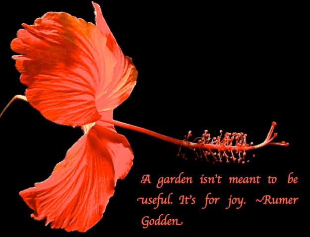 Screen Shot 2017-07-21 at 10.49.26 PM.png