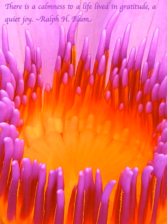 Screen Shot 2017-07-21 at 10.52.24 PM.png