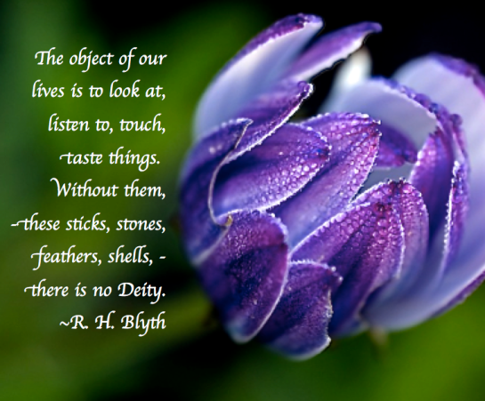 Screen Shot 2017-07-21 at 10.59.27 PM.png