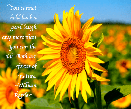 Screen Shot 2017-07-21 at 11.02.13 PM.png