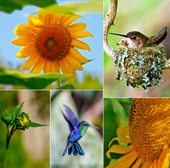 Screen Shot 2017-07-22 at 8.11.38 PM.png