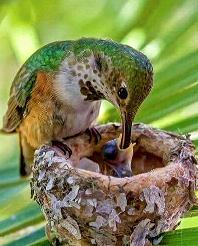 Screen Shot 2017-07-22 at 8.22.12 PM.png