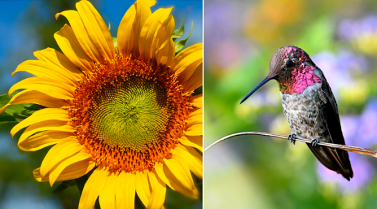 Screen Shot 2017-07-22 at 8.22.59 PM.png