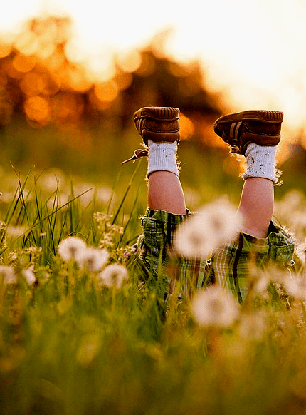 Screen Shot 2017-07-24 at 3.47.14 PM.png