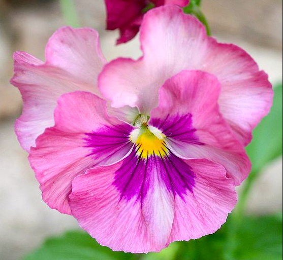 Screen Shot 2017-07-24 at 9.57.32 PM.png