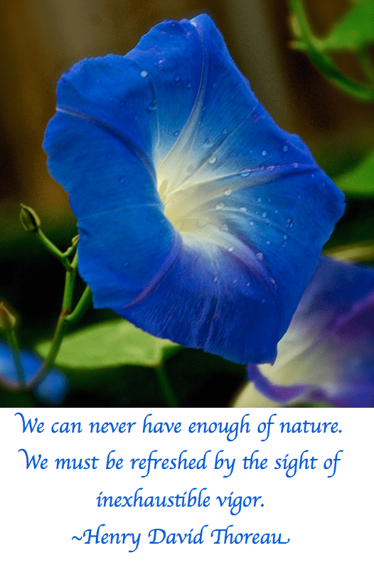 Screen Shot 2017-07-25 at 10.51.37 PM.png