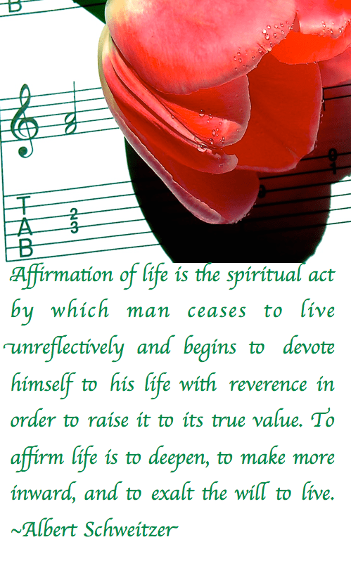 Screen Shot 2017-07-25 at 10.55.52 PM.png