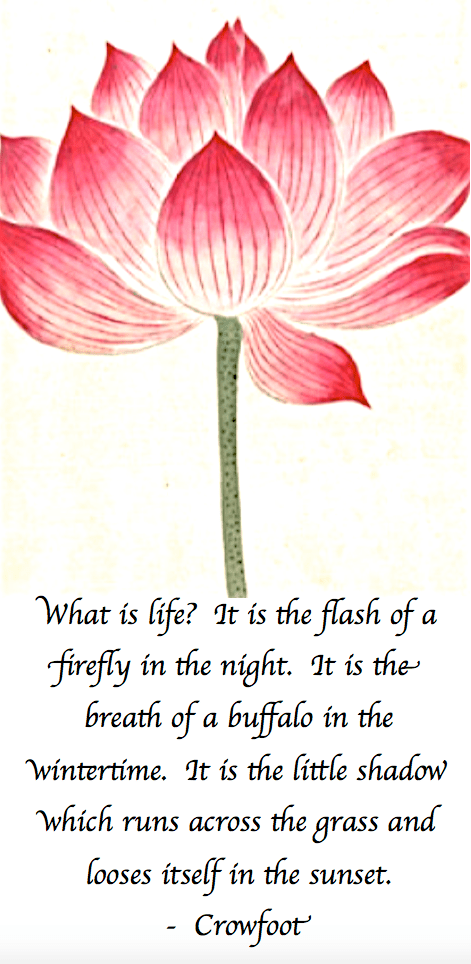 Screen Shot 2017-07-25 at 11.04.39 PM.png