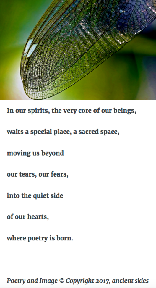 Screen Shot 2017-07-25 at 11.10.41 PM.png