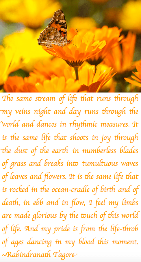 Screen Shot 2017-07-25 at 11.43.07 PM.png