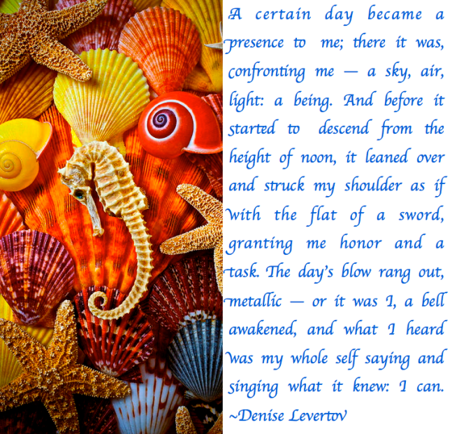 Screen Shot 2017-07-27 at 10.36.45 PM.png