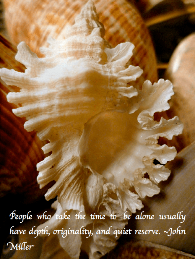 Screen Shot 2017-07-27 at 10.38.45 PM.png