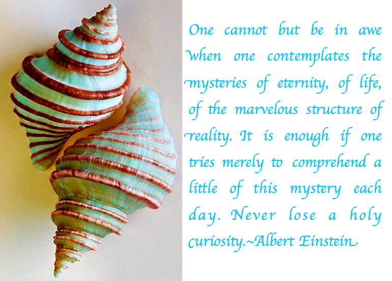 Screen Shot 2017-07-27 at 10.42.36 PM.png